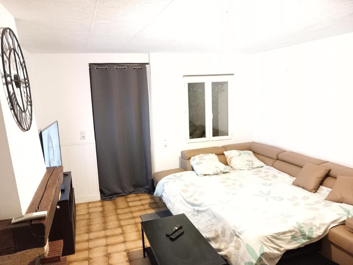 Maison Et Appartements D'Anatole France Proche Centre-Ville, Universite - Chu, Patinoire Et Futuroscope ポアティエ エクステリア 写真